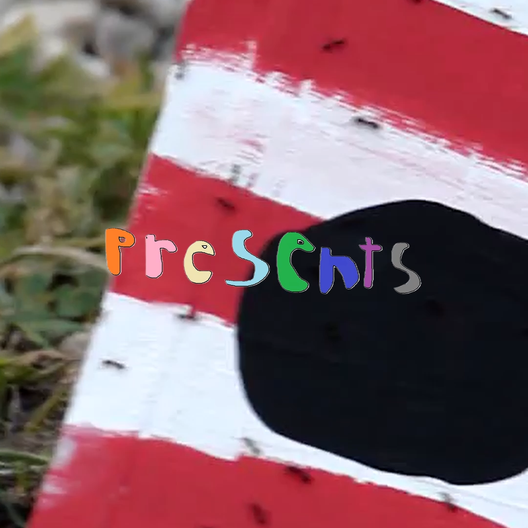 ants video thumbnail